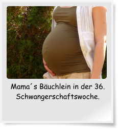 Mama´s Bäuchlein in der 36. Schwangerschaftswoche.